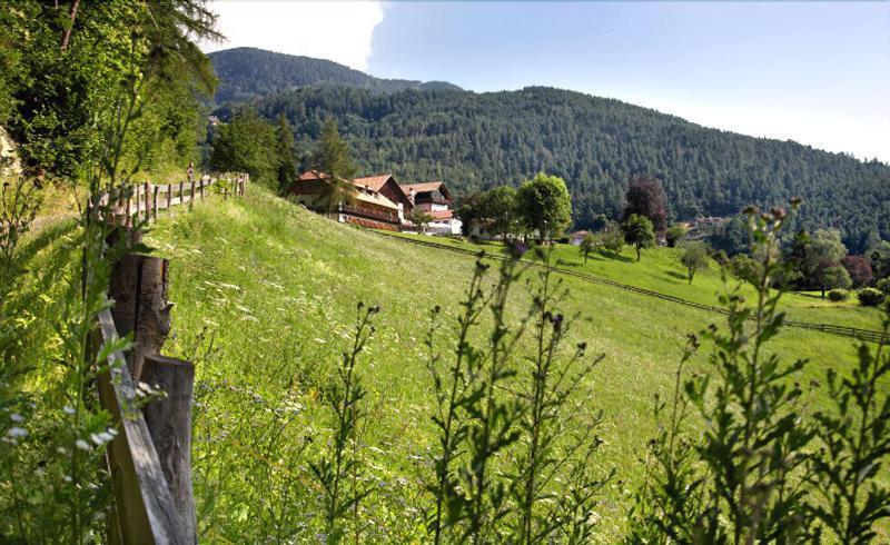 Naturhotel Wieserhof Longostagno Esterno foto