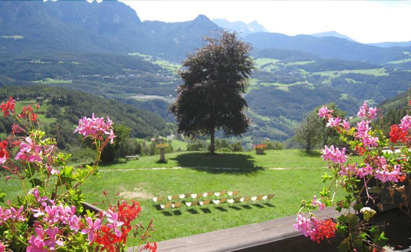 Naturhotel Wieserhof Longostagno Esterno foto