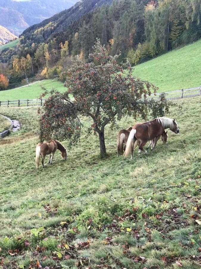 Naturhotel Wieserhof Longostagno Esterno foto