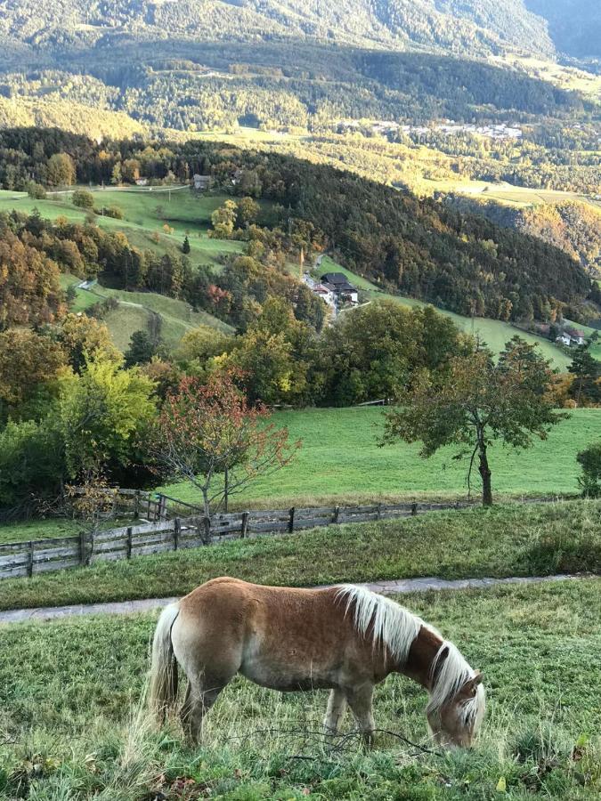 Naturhotel Wieserhof Longostagno Esterno foto