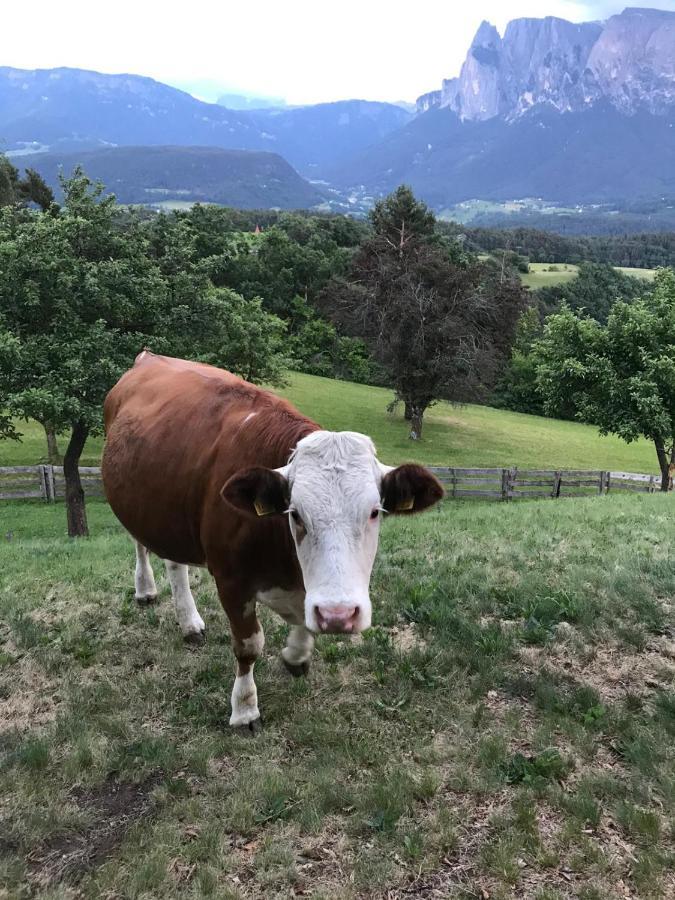 Naturhotel Wieserhof Longostagno Esterno foto